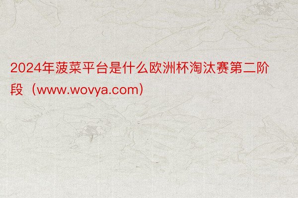 2024年菠菜平台是什么欧洲杯淘汰赛第二阶段(www.wovya.com)